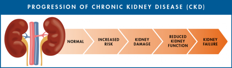 presentation of diseases of the kidney